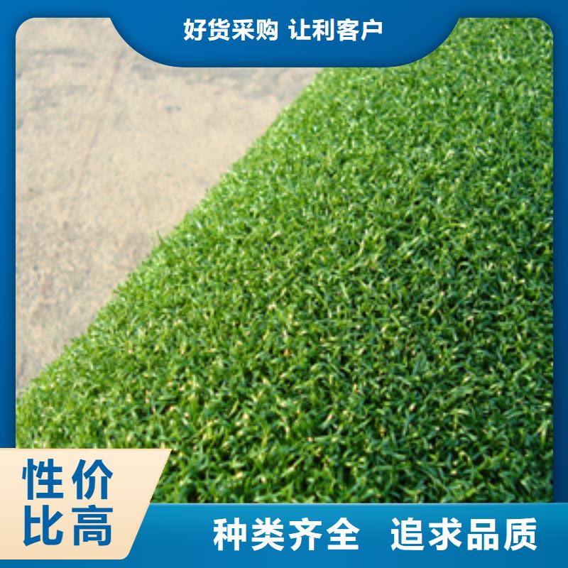 質量優的塑膠籃球場供貨商嚴選用料