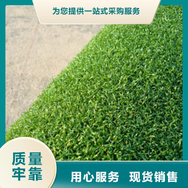 塑膠籃球場現貨供應廠家