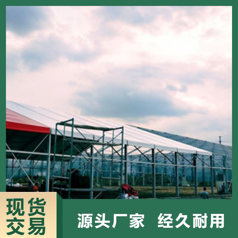 篷房出租隊伍誠信經營現貨現發
