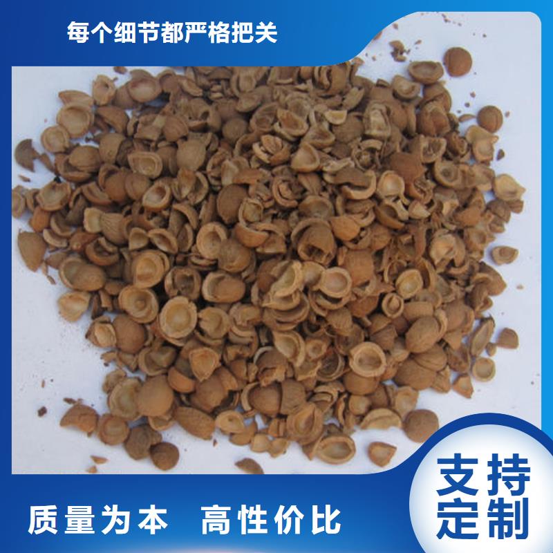果殼濾料-實力廠家