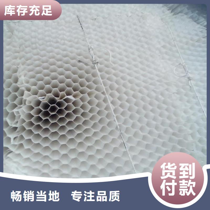 蜂窩斜管_省心省錢