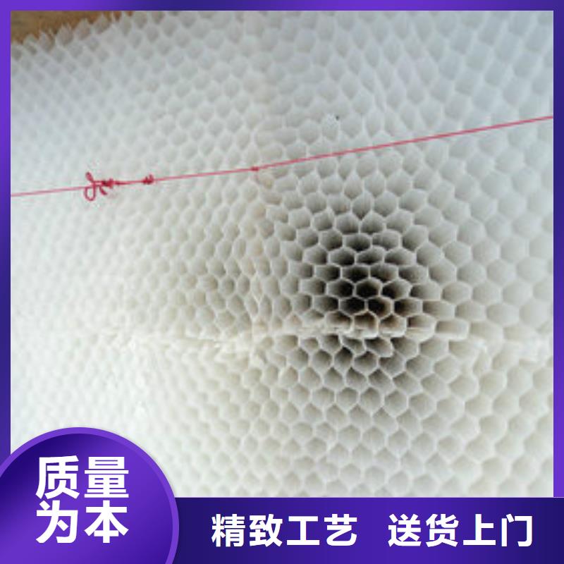 蜂窩斜管的廠家-萬(wàn)江環(huán)保科技有限公司