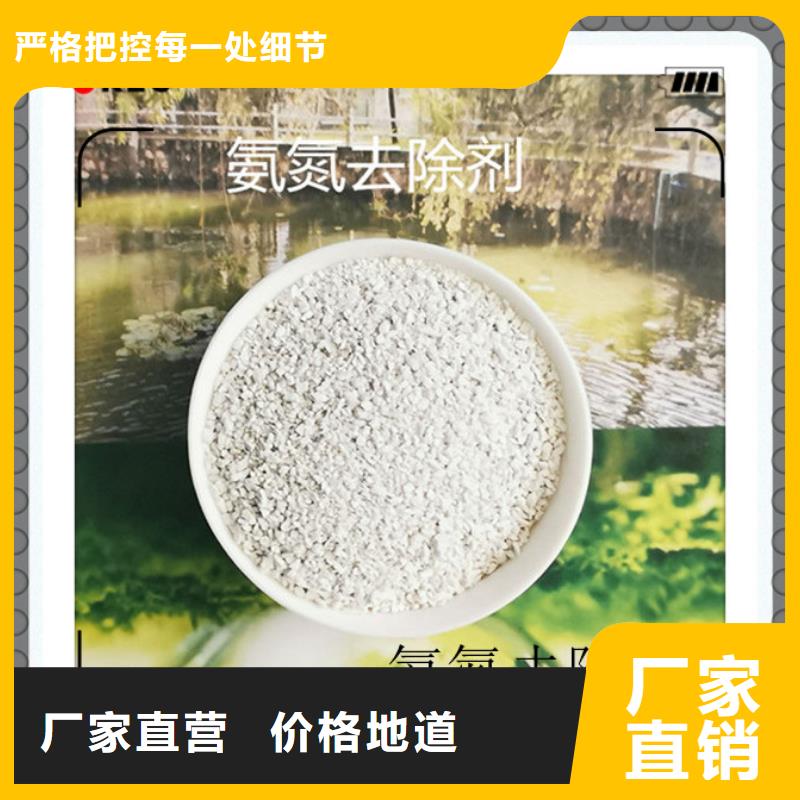 氨氮去除劑10年生產廠家