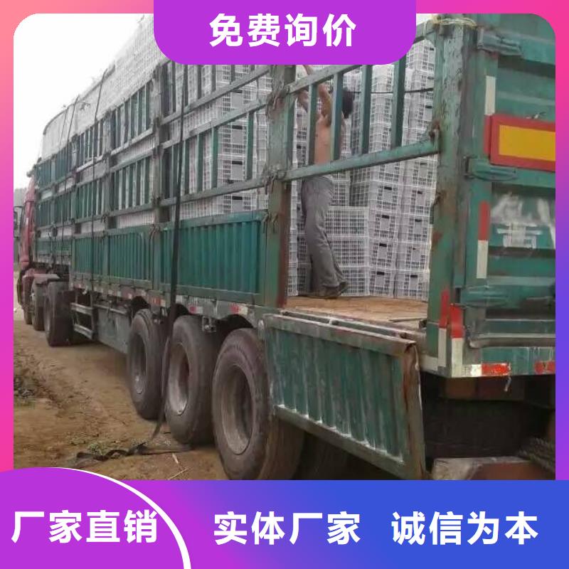 花卉質量為主