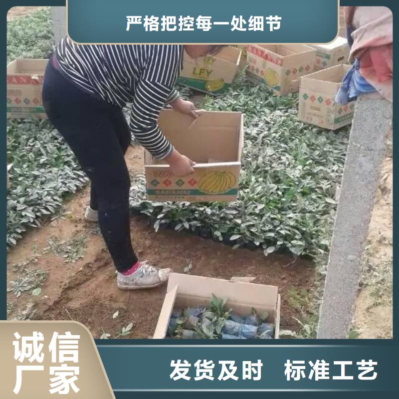 花卉供應商求