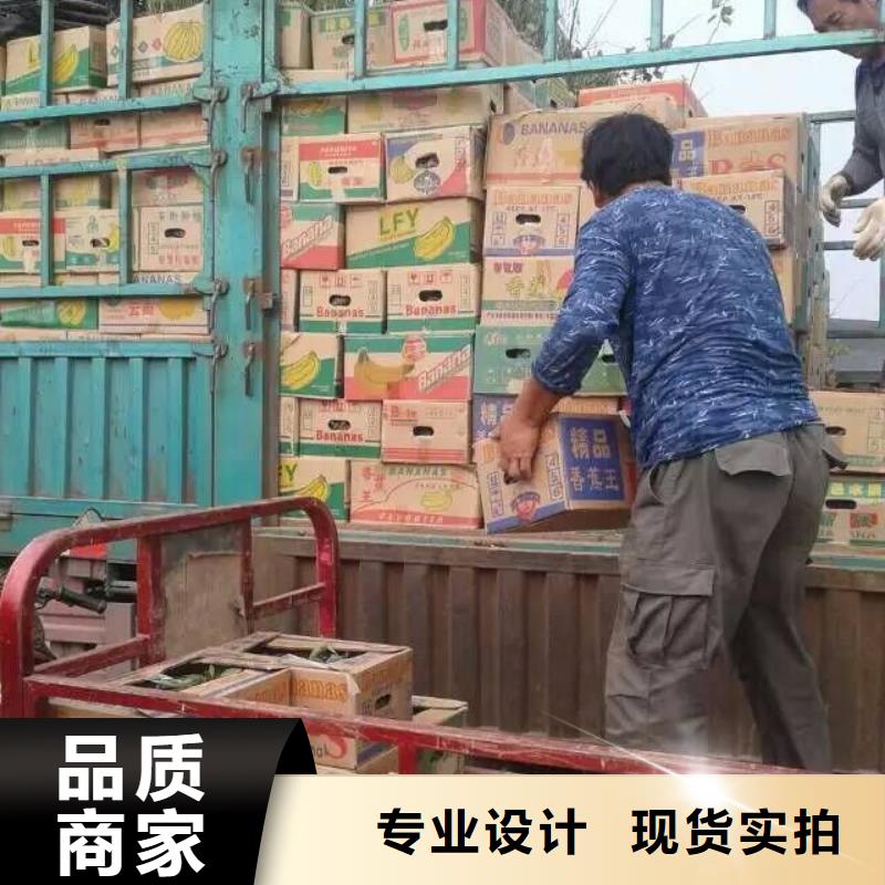 花卉大廠家選的放心