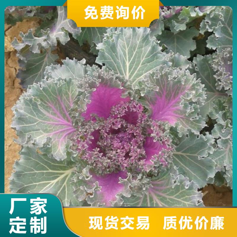 花卉物流送貨上門