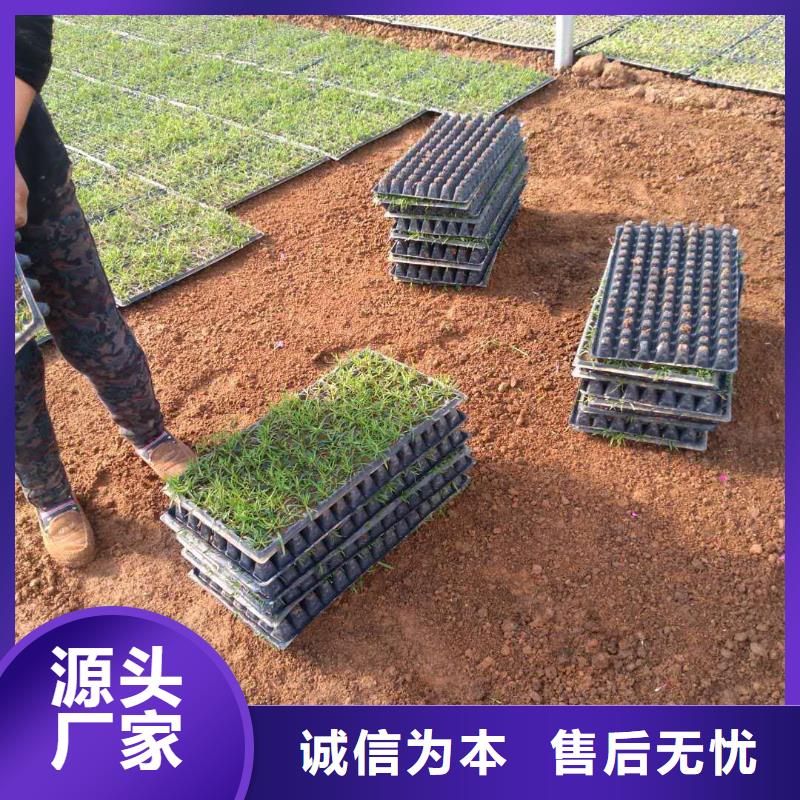 服務(wù)周到的花卉經(jīng)銷(xiāo)商
