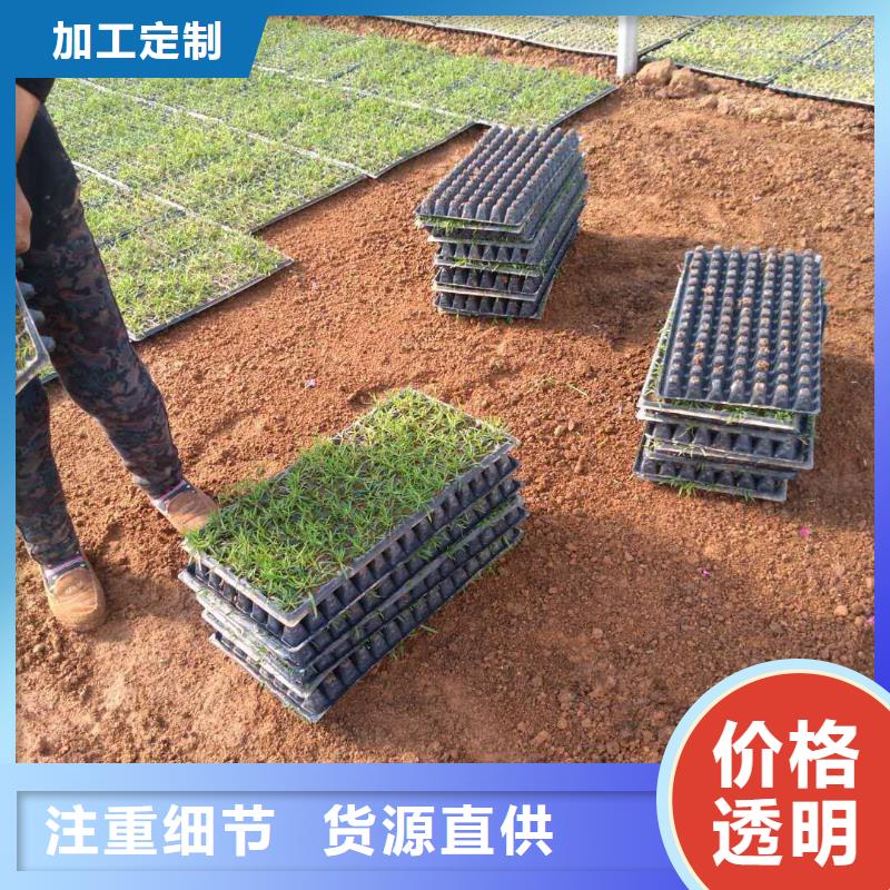 質優價廉的花卉廠家