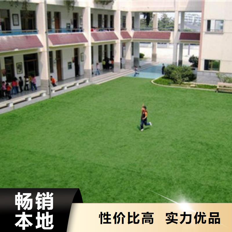 人造草坪定制-實(shí)力廠家