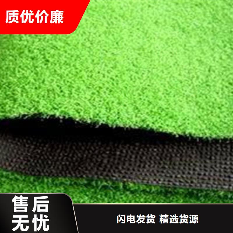 人造草坪-多年經驗造就好品質