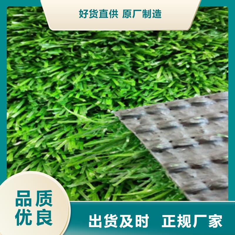 人造草坪品牌-報價