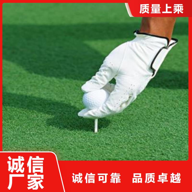 人造草坪、人造草坪價格