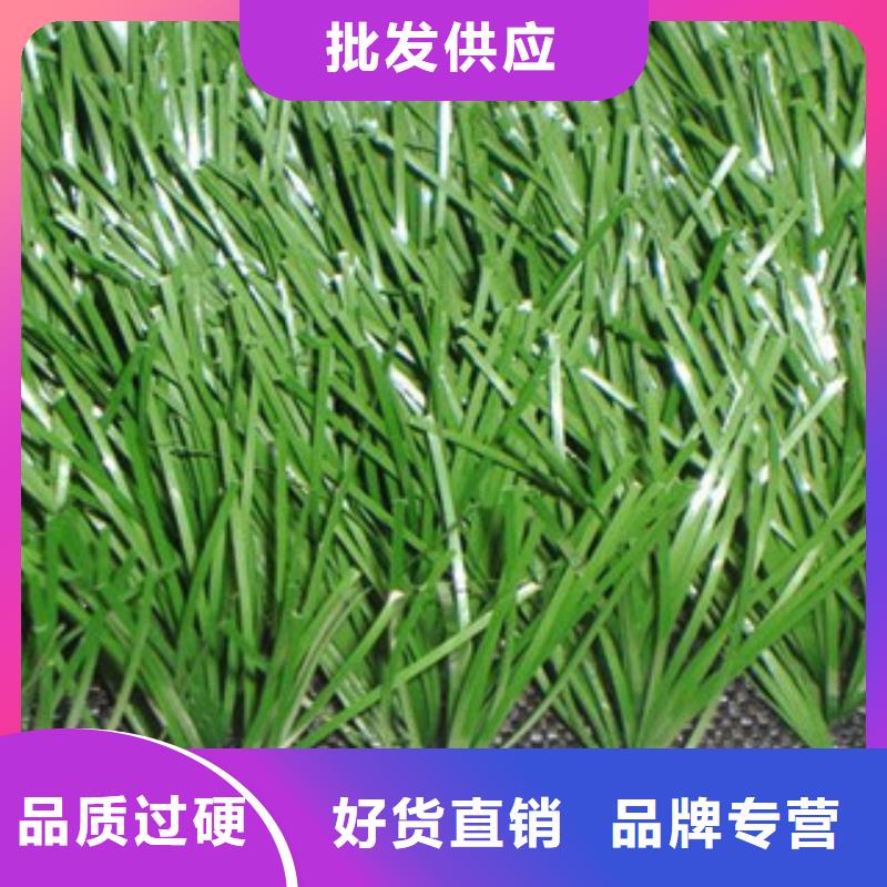 優(yōu)選：人造草坪實(shí)力廠家