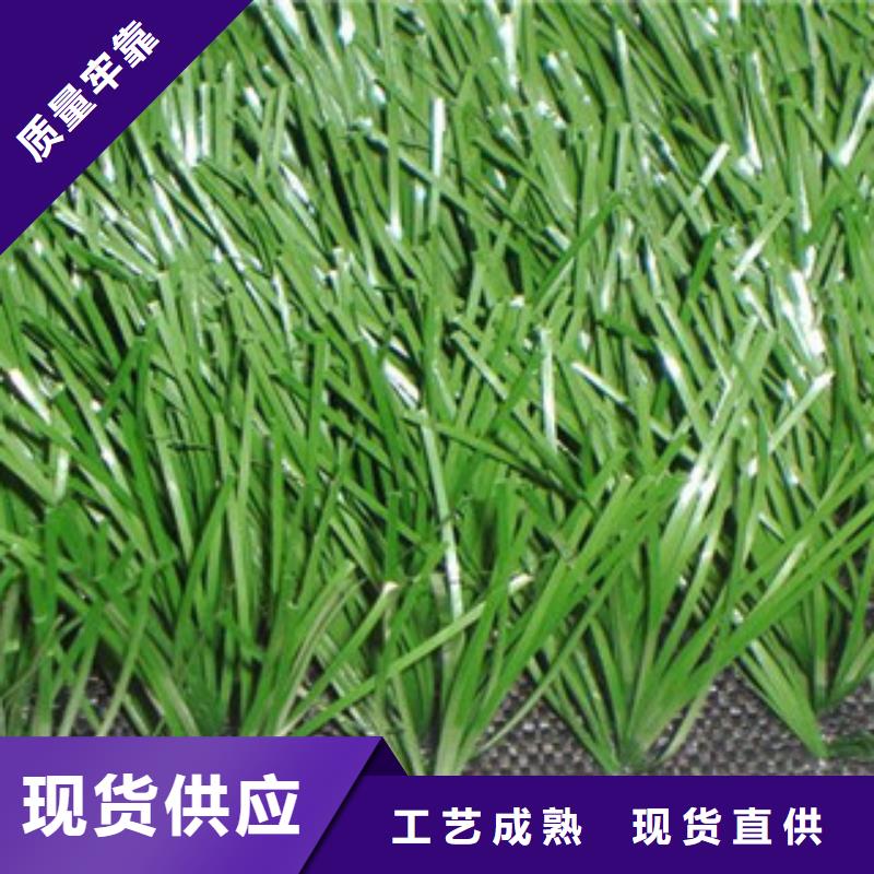 人造草坪設備生產廠家