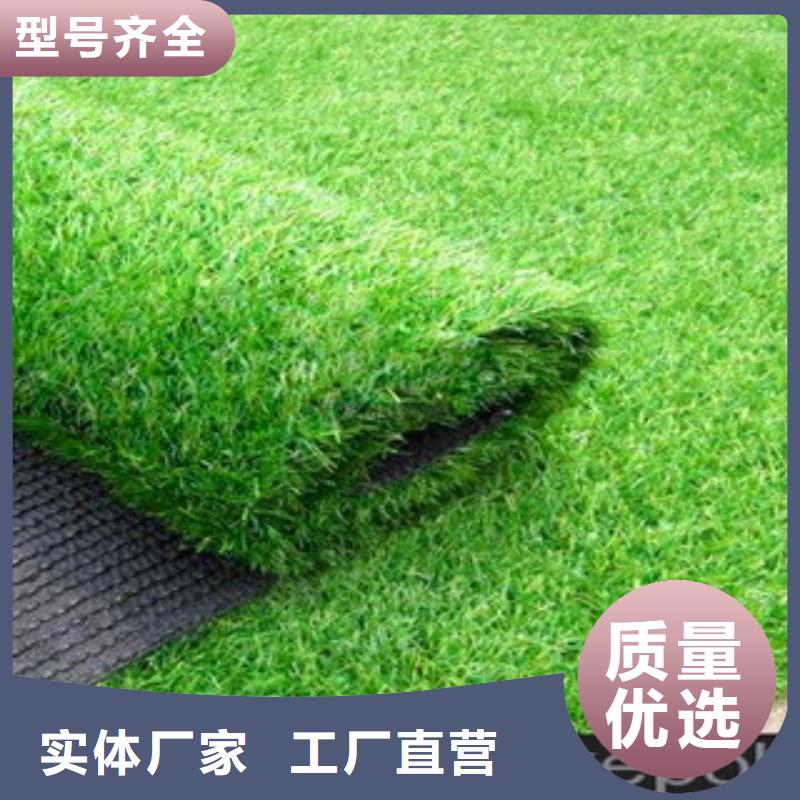 買人造草坪必看-值得信賴