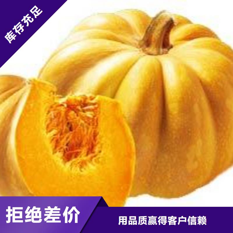 優選：南瓜粉本地廠家
