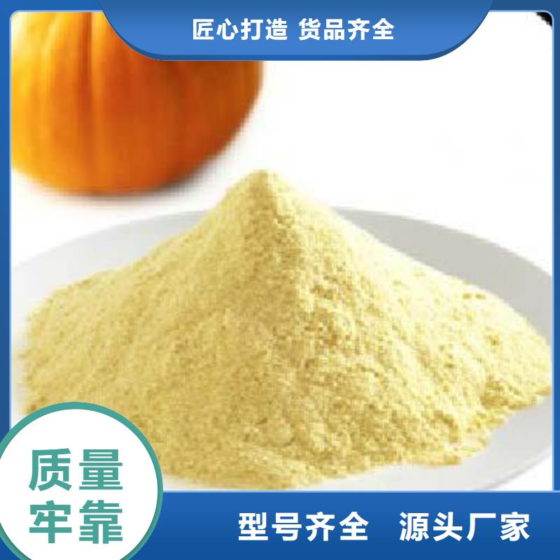 生產南瓜粉廠家-可定制