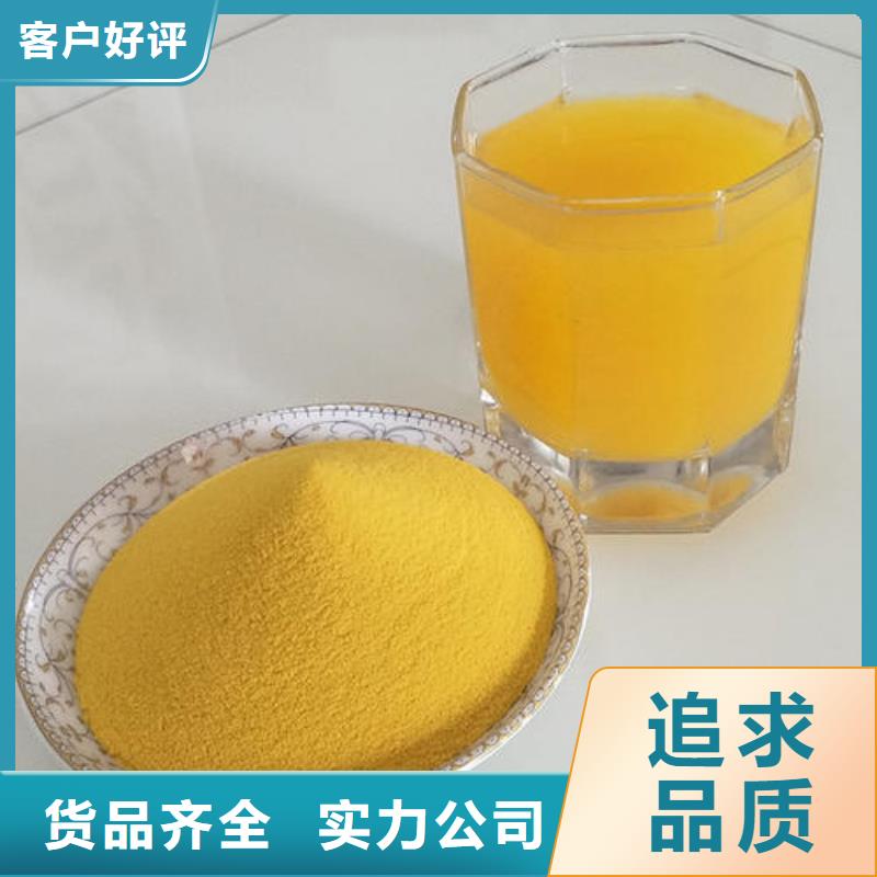 生產南瓜粉廠家-可定制