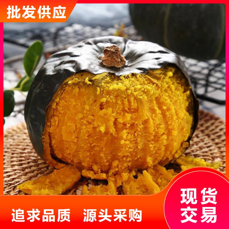 值得信賴的南瓜粉廠家
