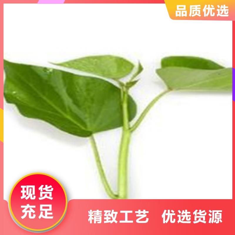 供應(yīng)苗_品牌廠家
