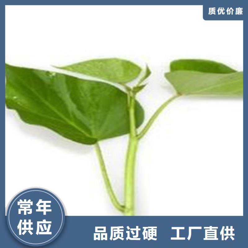 苗制造