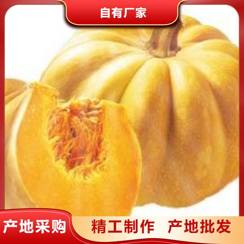 南瓜粉找樂農食品有限公司發貨及時