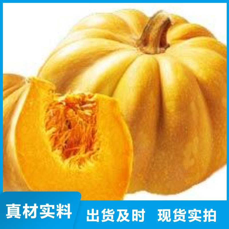 南瓜粉價格-可按需定做