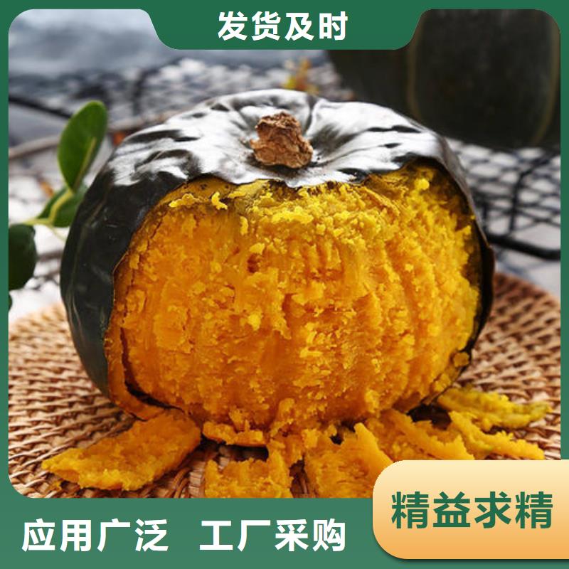 南瓜粉價格|廠家本地服務商