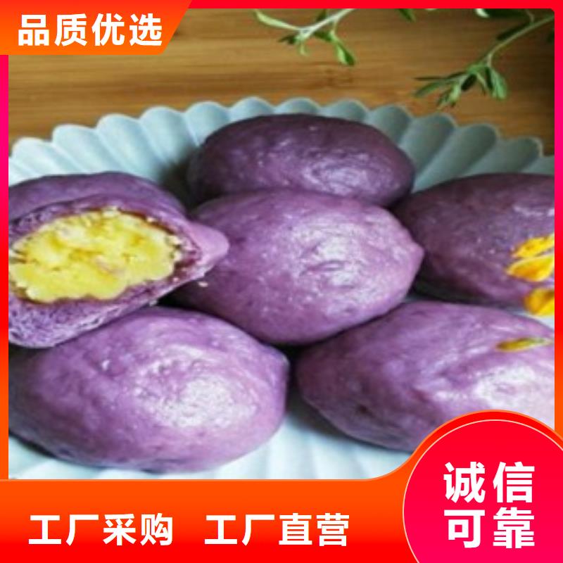 紫薯粉認準(zhǔn)實力工廠