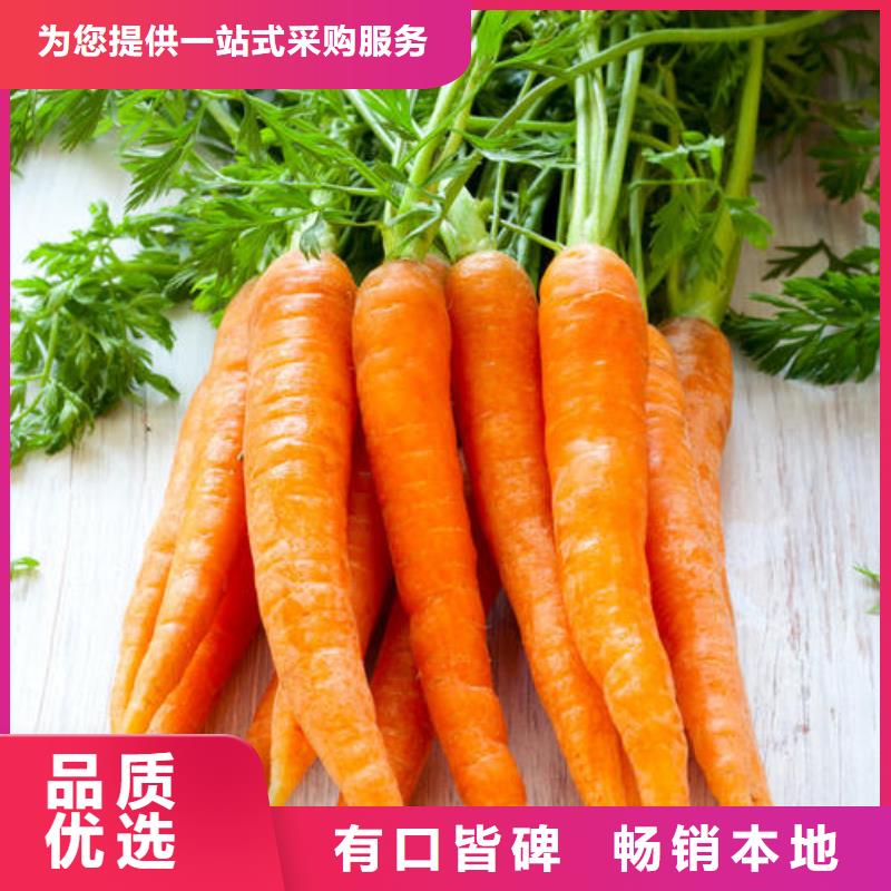 胡蘿卜粉廠家發貨及時
