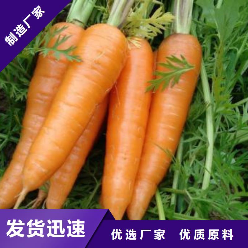 買胡蘿卜粉必看-質量好