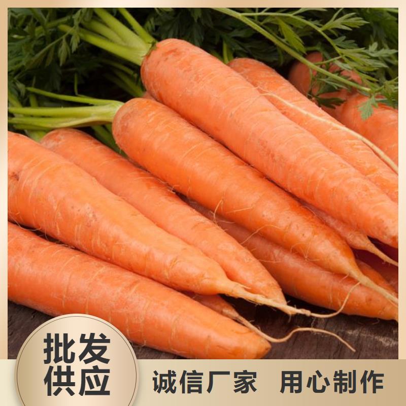 胡蘿卜粉一手報價當地生產廠家