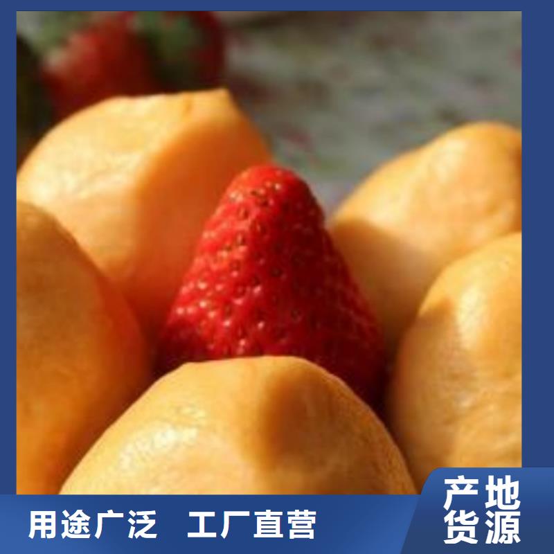 胡蘿卜粉生產(chǎn)廠家