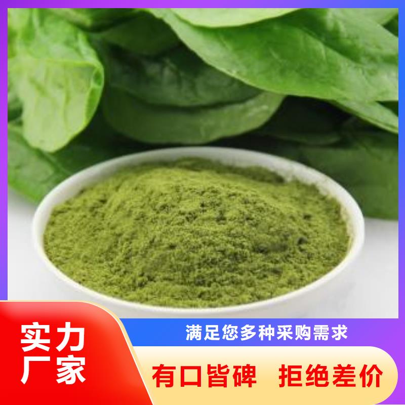 菠菜粉、菠菜粉直銷廠家
