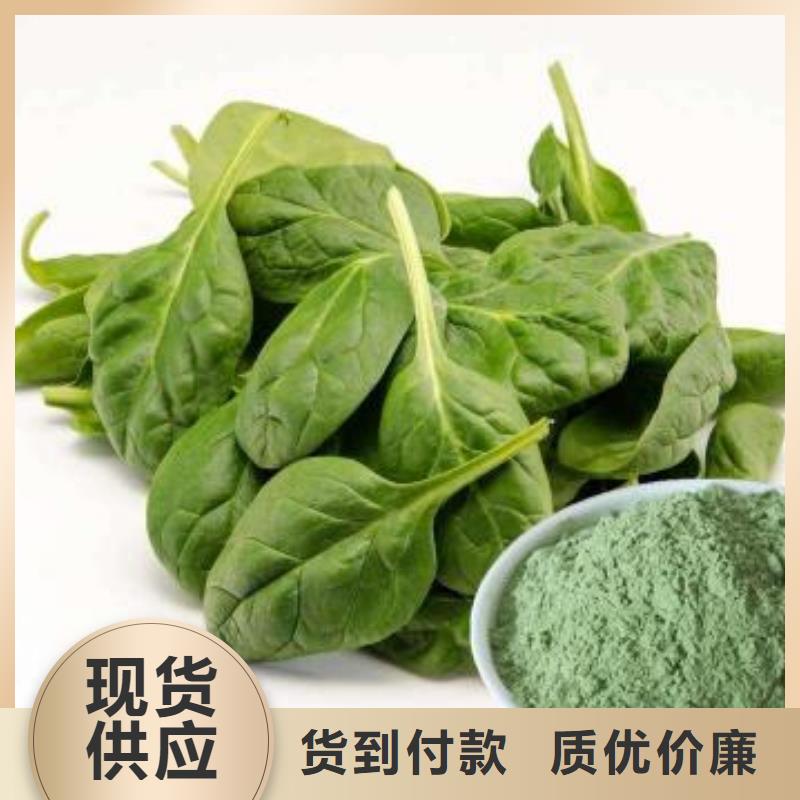 找菠菜粉廠家選樂農食品有限公司好產品有口碑