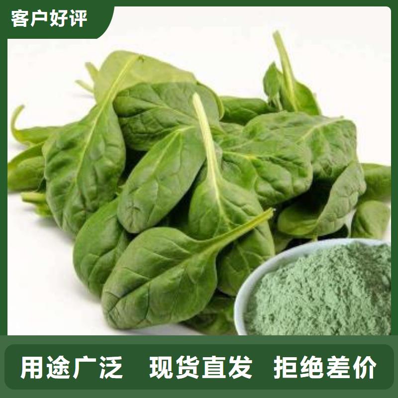 菠菜粉可來電定制-質量可靠
