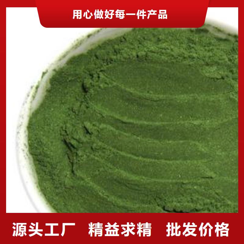 菠菜粉、菠菜粉生產廠家_規格齊全