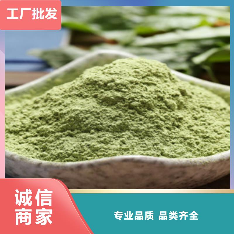 菠菜粉現(xiàn)貨批發(fā)