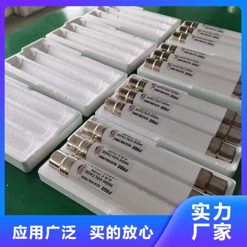 XRNP-10/2A互感器保护用高压限流熔断器