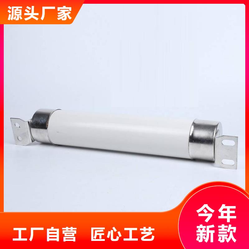 高壓限流熔斷器、高壓限流熔斷器廠家直銷-本地企業(yè)