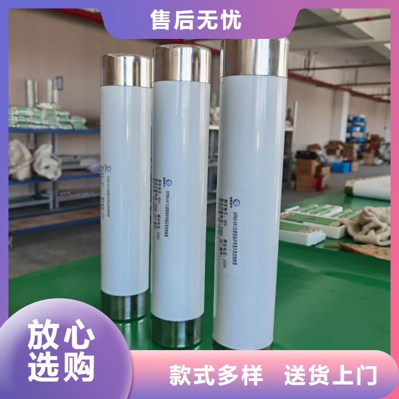 高壓高分斷限流熔斷器保險絲熔芯熔管63A現貨