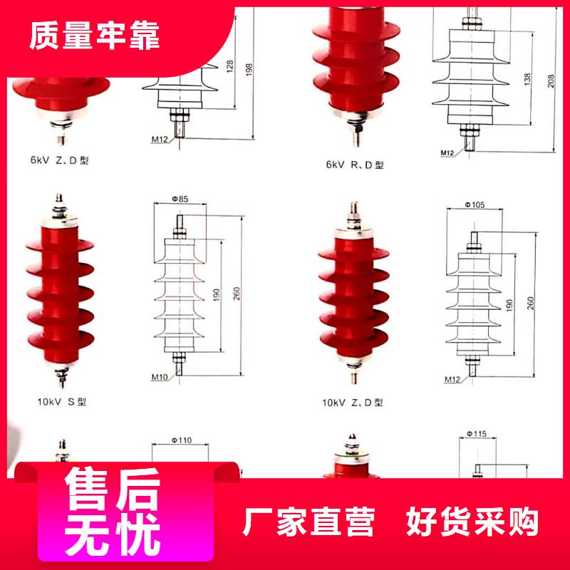 高壓避雷器十余年廠家