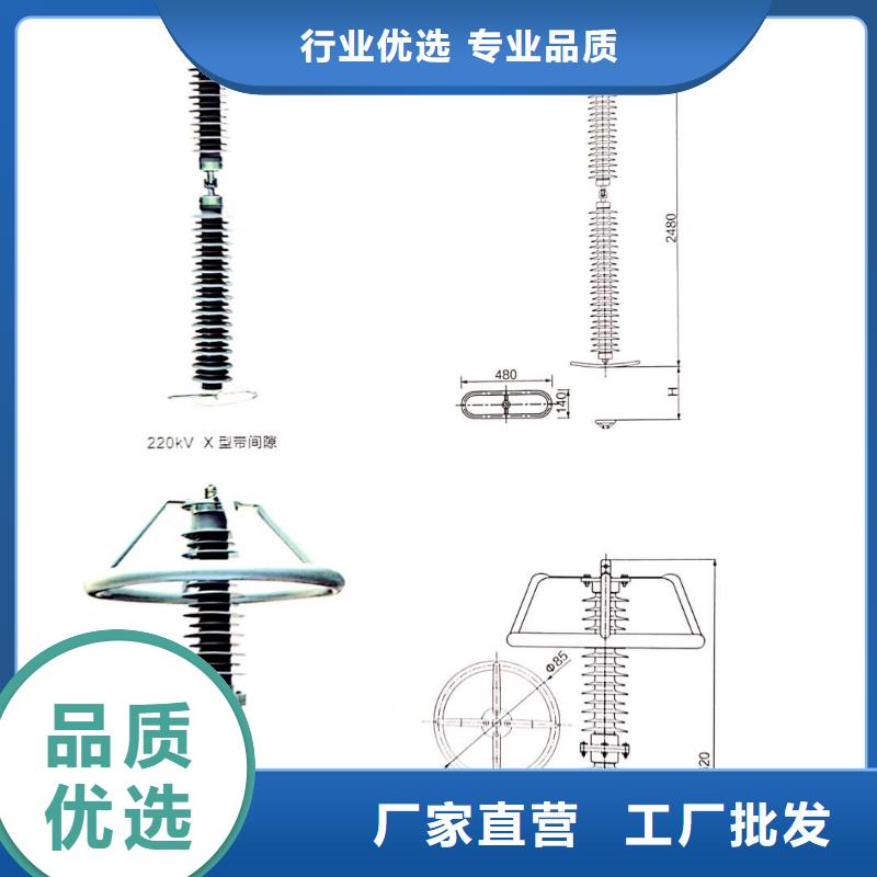 注重高压避雷器质量的厂家