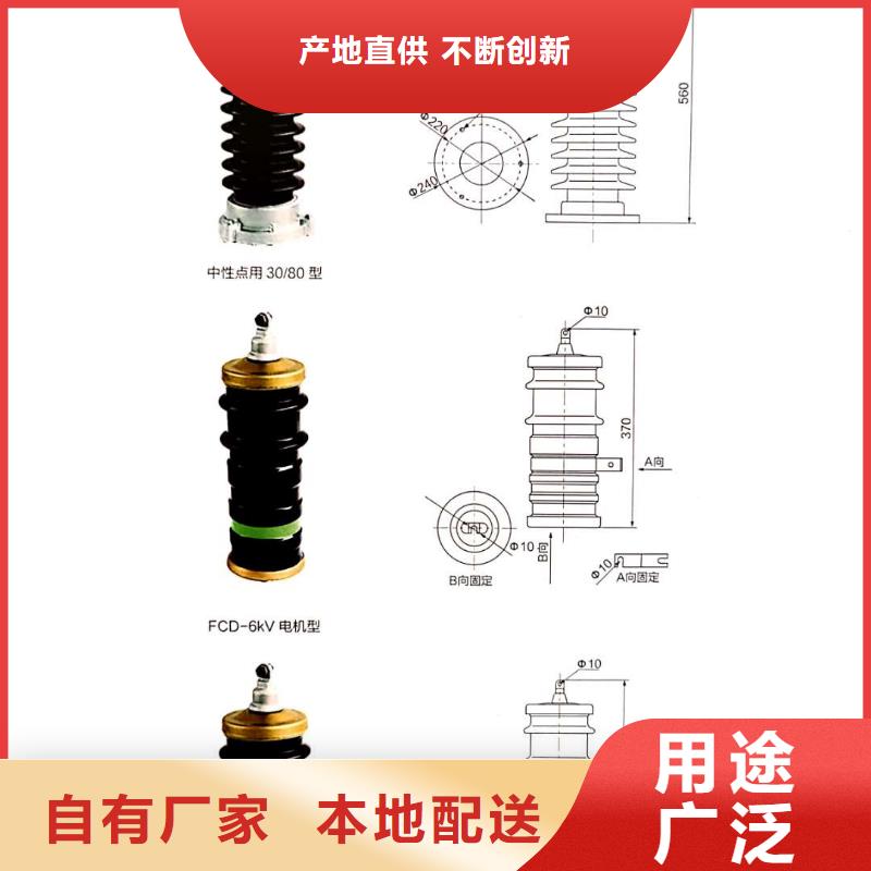 XRNP-35KV/3A5A互感器保护用高压限流熔断器