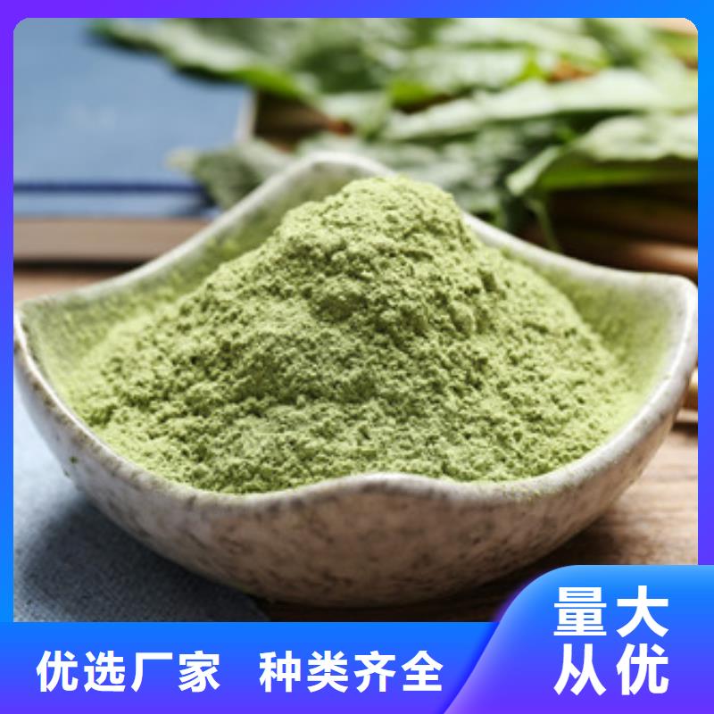 供應批發菠菜粉-口碑好
