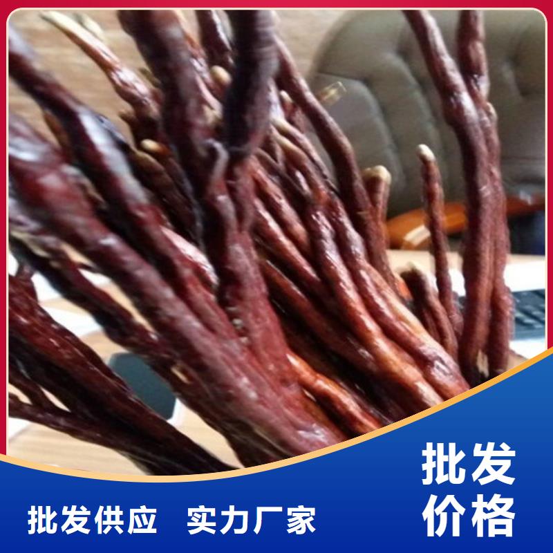 靈芝孢子粉廠家