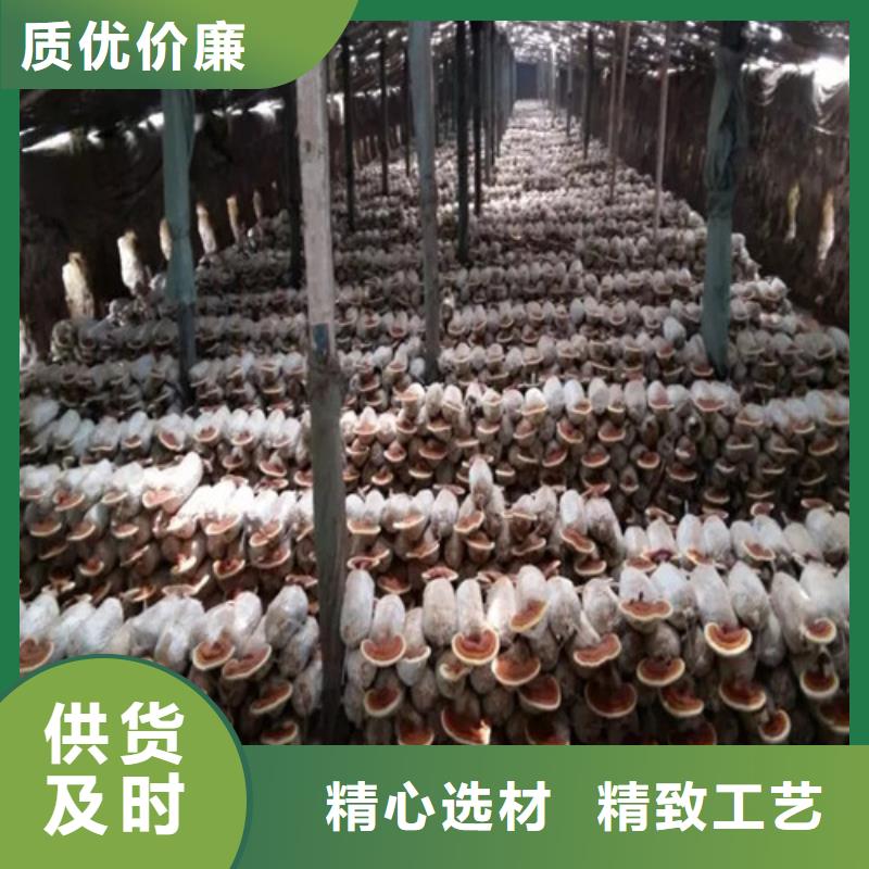 靈芝自產(chǎn)自銷