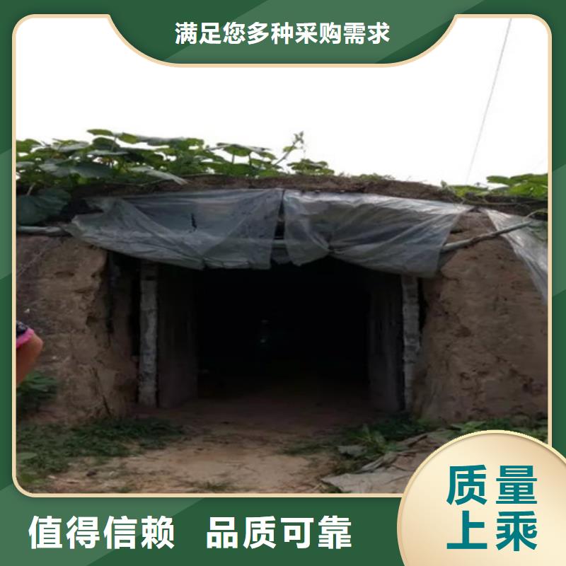 靈芝孢子粉發貨就是快