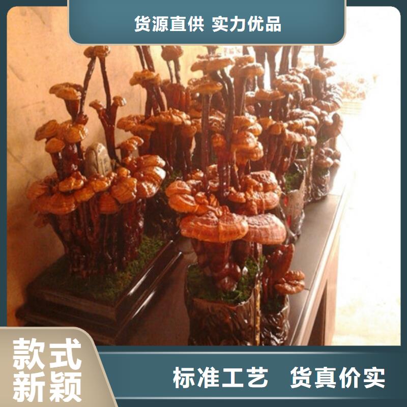 服務周到的靈芝孢子粉基地